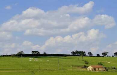 Imagem: Sitio nas margens da rodovia Washington Luís