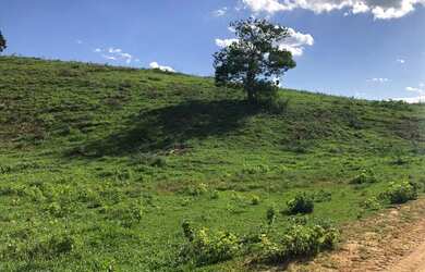 Imagem 2: Propriedade rural a venda com 12,5 alqueires legalizada entre Usina Outeiro e Rio Paraíba