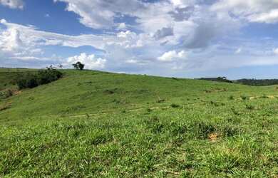 Imagem 3: Propriedade rural a venda com 12,5 alqueires legalizada entre Usina Outeiro e Rio Paraíba