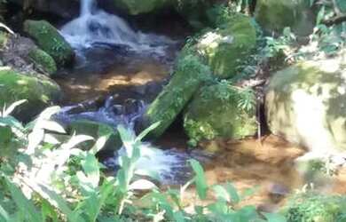Imagem 3: Casa aconchegante na Serra, fogueira de jardim e paz