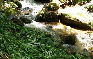 Imagem 15: Casa aconchegante na Serra, fogueira de jardim e paz