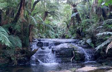 Imagem: A chácara possui 10000m² de Área e está localizado em Urubici