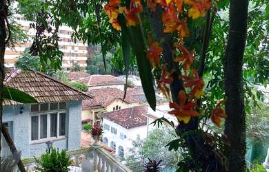 Imagem 15: Maravilhosa casa a venda no Bairro do Cosme Velho