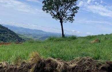 Imagem: O terreno possui 800m² de Área e está localizado em Centro