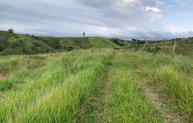 Imagem 15: Lote/Terreno para venda 800 metros quadrados em Arujá - SP