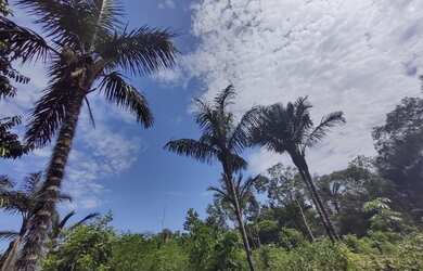 Imagem 3: Lote no ramal do janauari 50x60