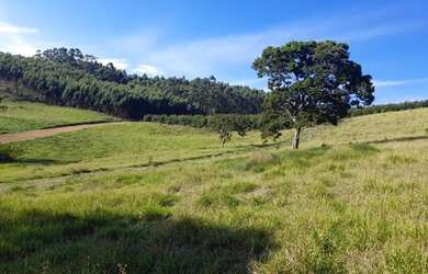 Imagem 4: LOTES/ TERRENO PARA VENDA POSSUI 500 metros EM NAZARE PAULISTA
