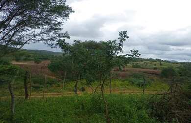 Imagem: O terreno está localizado em Antônio Cardoso, BA à venda