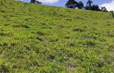 Imagem 8: LOTES/ TERRENO PARA VENDA POSSUI 500 metros EM NAZARE PAULISTA