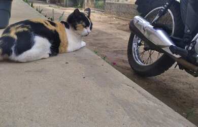 Imagem: O apartamento possui 2 Dormitórios, 1 Banheiro e 2 Vagas na