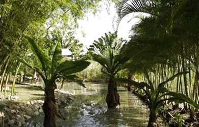 Imagem 2: Condomínio Pedra Verde Maricá - Venha morar cercado da natureza