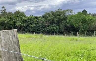 Imagem 12: CHACRINHA OU TERRENO 1250M² COM FIBRA ÓTICA, ÁGUA ENCANADA, ESCRITURA...