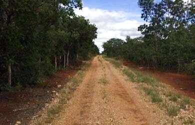 Imagem 2: Vendo Fazenda 55,4 ha, plana de cultura a 1km do asfalto