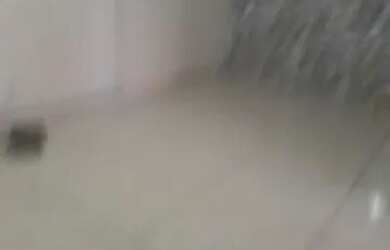 Imagem 5: CASA GRANDE. 2 Banheirose2 Dormitórios