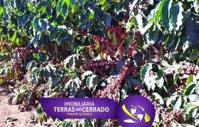 Imagem: A fazenda está localizado em Guarda-Mor, MG à venda por R$70.000.000