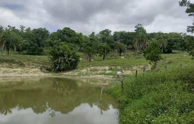 Imagem: A fazenda possui 30m² de Área e está localizado em Setor