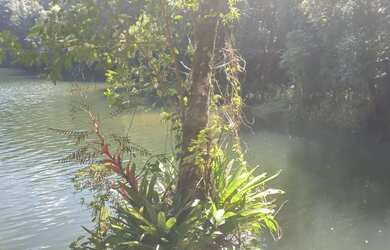 Imagem 13: Super lote pe na agua represa e acesso cachoeira 80 mil reais