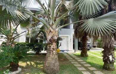 Imagem 4: CASA EM CONDOMÍNIO - CONDOMINIO VALE DO SOL - SP