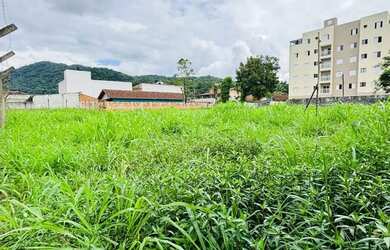 Imagem: O terreno possui 1.500m² de Área e está localizado em Estufa