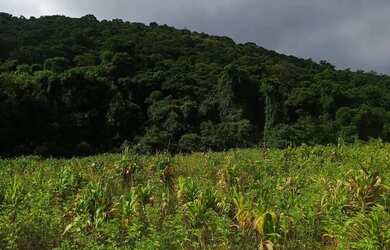 Imagem 6: Localização estratégica KM 82 da Rodovia Bunjiro Nakao Apenas 1 km...