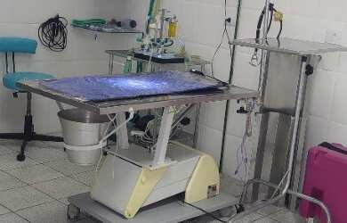 Imagem 13: Clinica Veterinária no Bairro Ipiranga Perto do Museu do Ipiranga