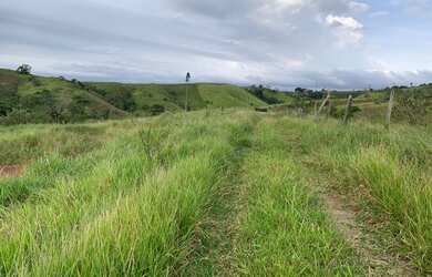 Imagem 6: Lote/Terreno para venda tem 800 metros quadrados em Santa Isabel/Arujá - SP