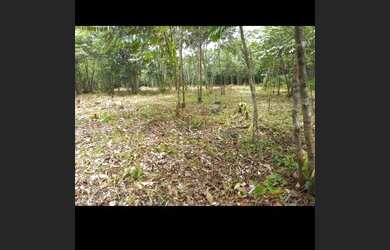 Imagem: O terreno está localizado em Acará, PA à venda por R$8.000