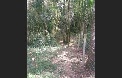 Imagem 6: Chácara em Araucária. 9.000m² de Área