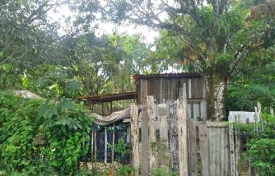 Imagem 2: Terreno no aurá. 