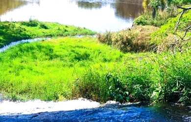 Imagem 13: Lote/Terreno para venda possui 1000 metros quadrados em São Miguel Paulista...