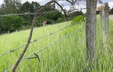 Imagem 2: CHACRINHA OU TERRENO 1250M² COM FIBRA ÓTICA, ÁGUA ENCANADA, ESCRITURA...