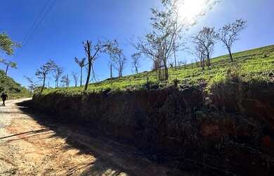 Imagem 7: Terreno de 500 metros com maravilhosa vista e ótima topografia