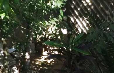 Imagem 10: Sobrado. 166m² de Área, 1 Banheiroe2 Dormitórios