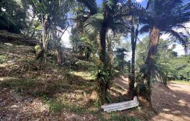 Imagem 11: Área - Bairro Sierra Park