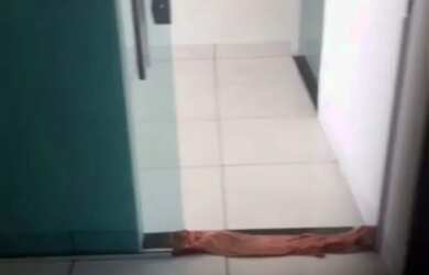 Imagem 3: Vendo OU TROCO, casa ou prédio de dois andares, POR SÍTIO, COM MAIS...