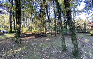 Imagem 5: Terreno à Venda em Canela, na Vila Suzana!