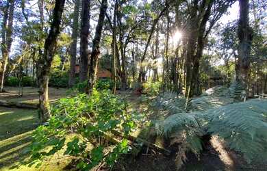 Imagem 2: Terreno à Venda em Canela, na Vila Suzana!