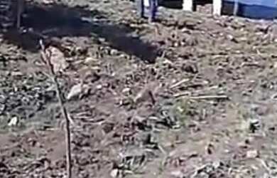 Imagem: A chácara possui 5.000m² de Área e está localizado em Santo