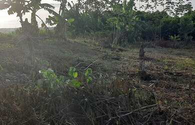 Imagem: O terreno possui 300m² de Área e está localizado em Mojuí