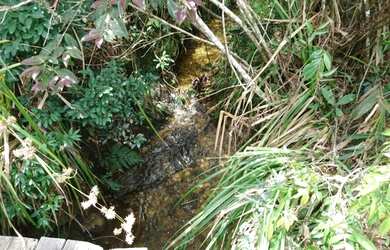 Imagem 8: Terreno 13 ha,com casa, água por gravidade,nascente,Serra do Cipó (Temos varias opções)