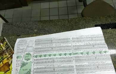 Imagem: 2 Terrenos por 37.000,00