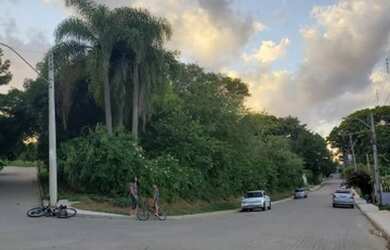 Imagem 16: Emicrei vende Excelente lote na Campestre São Leopoldo