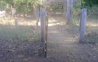 Imagem 16: VENDO FAZENDA COM 55 ALQUEIRES