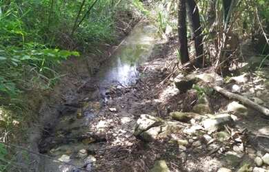 Imagem 5: 186 Alqs Terra Mista Ja Foi Aberta Mais Tem Preço Sta Terezinha GO