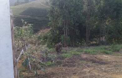 Imagem 3: Chácara em Águia Branca-ES