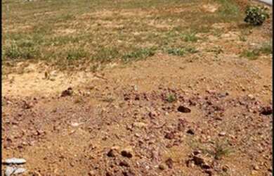 Imagem 1: Troco ágio. 200m² de Área