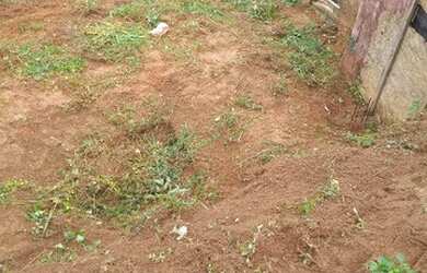 Imagem: O terreno possui 150.000m² de Área e está localizado em