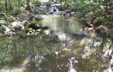 Imagem 2: 186 Alqs Terra Mista Ja Foi Aberta Mais Tem Preço Sta Terezinha GO