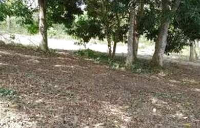 Imagem: O terreno possui 583m² de Área e está localizado em Laranjal