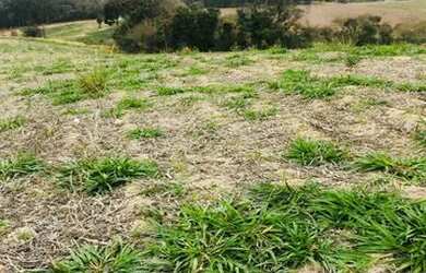 Imagem 13: Lote/Terreno para venda tem 500 metros quadrados em Jardim Brasil - Atibaia...